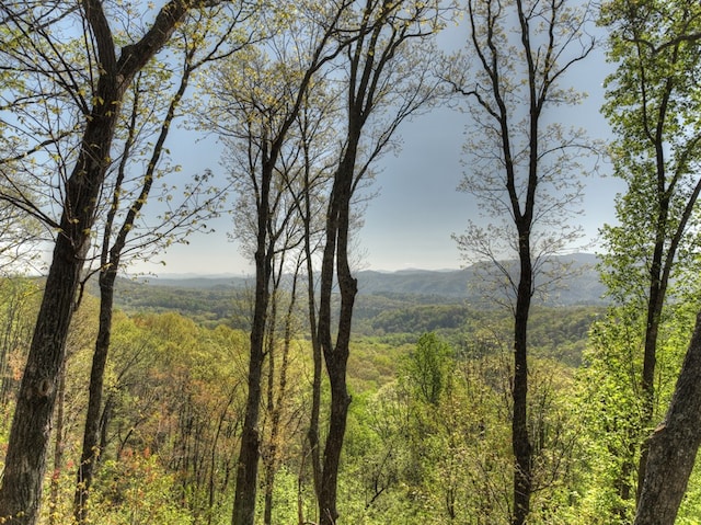 783 Moreland Dr N, Cherry Log, GA 30522 - exterior space