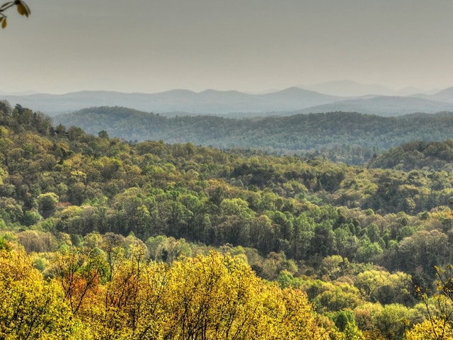783 Moreland Dr N, Cherry Log, GA 30522 - view of mountain view