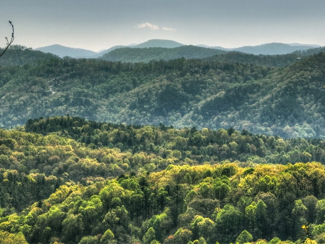 783 Moreland Dr N, Cherry Log, GA 30522 - view of property view of mountains