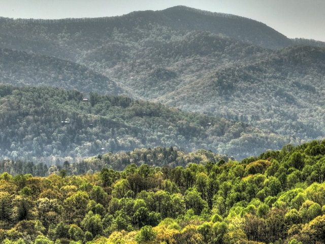 783 Moreland Dr N, Cherry Log, GA 30522 - view of mountain feature