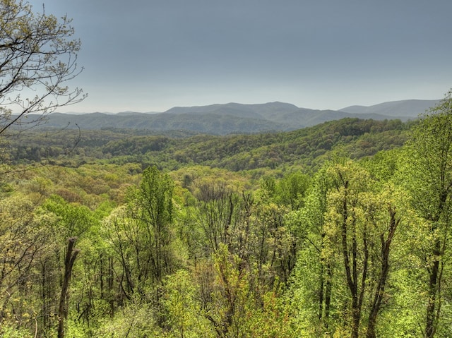 783 Moreland Dr N, Cherry Log, GA 30522 - view of mountain view