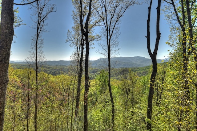 783 Moreland Dr N, Cherry Log, GA 30522 - view of mountain view