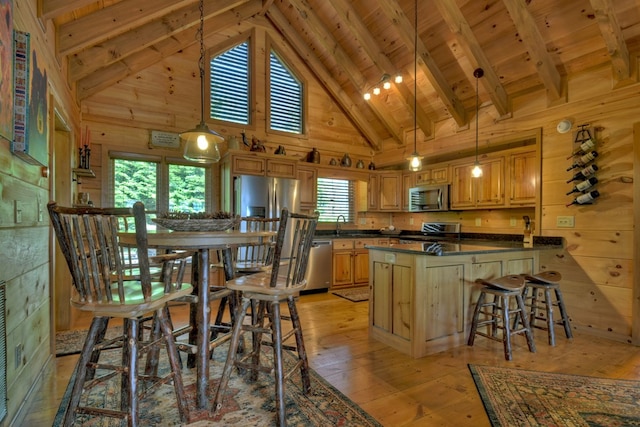 783 Moreland Dr N, Cherry Log, GA 30522 - kitchen featuring plenty of natural light, stainless steel appliances, and wooden walls