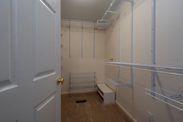 view of spacious closet