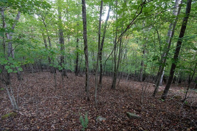 view of landscape