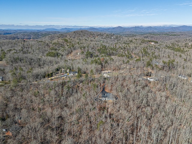 birds eye view of property featuring a mountain view