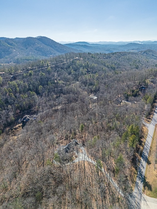 aerial view with a mountain view