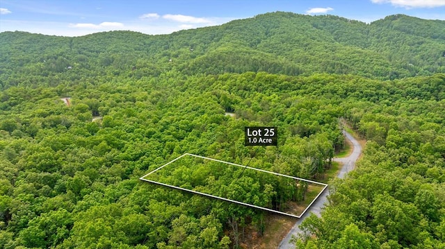 LOT25 Crestview Pt, Mineral Bluff, GA 30559