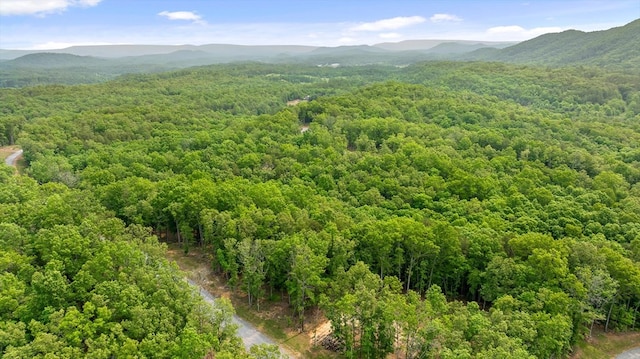 LOT25 Crestview Pt, Mineral Bluff, GA 30559