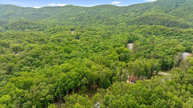 LOT25 Crestview Pt, Mineral Bluff, GA 30559
