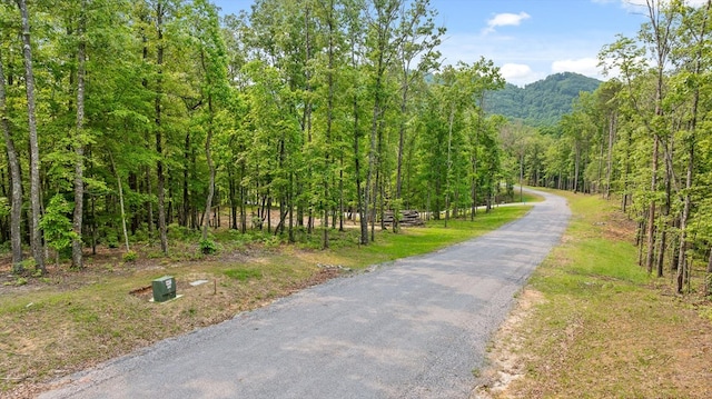 LOT25 Crestview Pt, Mineral Bluff, GA 30559