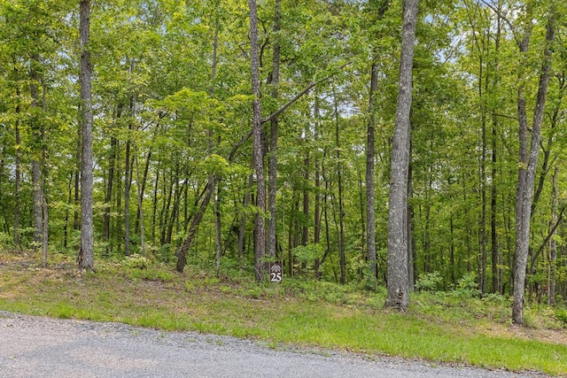LOT25 Crestview Pt, Mineral Bluff, GA 30559