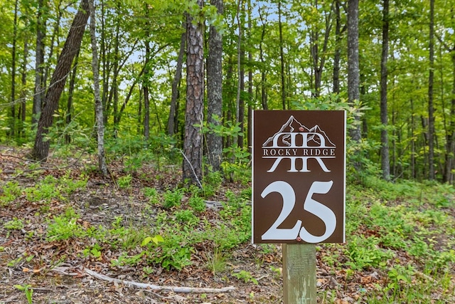 LOT25 Crestview Pt, Mineral Bluff, GA 30559