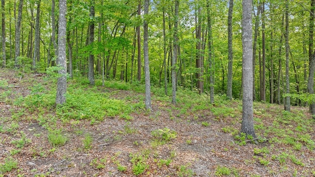LOT25 Crestview Pt, Mineral Bluff, GA 30559