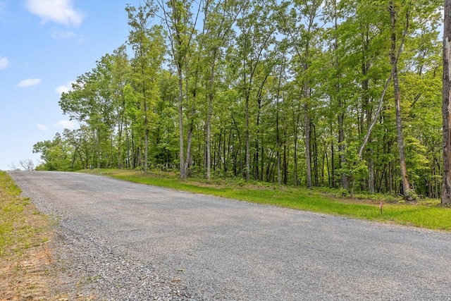 LOT25 Crestview Pt, Mineral Bluff, GA 30559