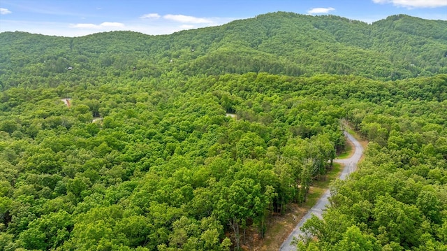 LOT25 Crestview Pt, Mineral Bluff, GA 30559