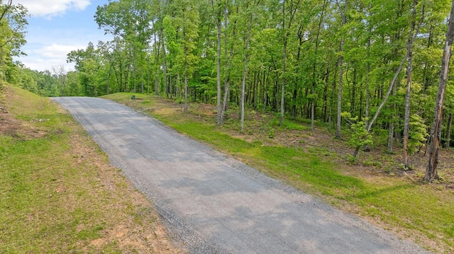 LOT25 Crestview Pt, Mineral Bluff, GA 30559