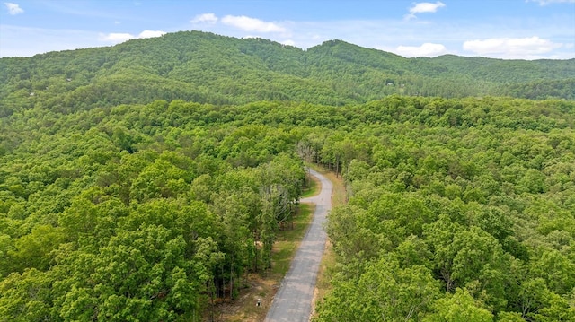LOT25 Crestview Pt, Mineral Bluff, GA 30559