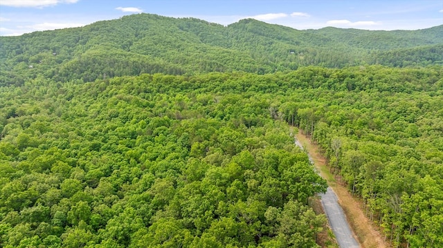 LOT25 Crestview Pt, Mineral Bluff, GA 30559