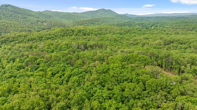 LOT25 Crestview Pt, Mineral Bluff, GA 30559