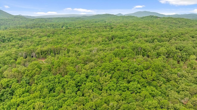 LOT25 Crestview Pt, Mineral Bluff, GA 30559