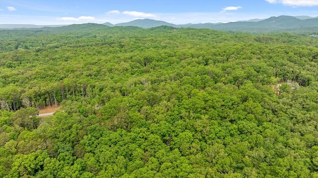 LOT25 Crestview Pt, Mineral Bluff, GA 30559