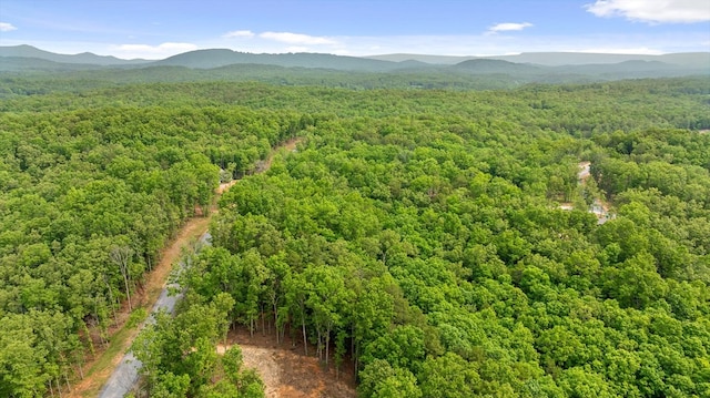 LOT25 Crestview Pt, Mineral Bluff, GA 30559