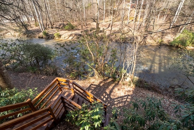 510 Gallery Ct, Ellijay, GA 30540 - view of yard