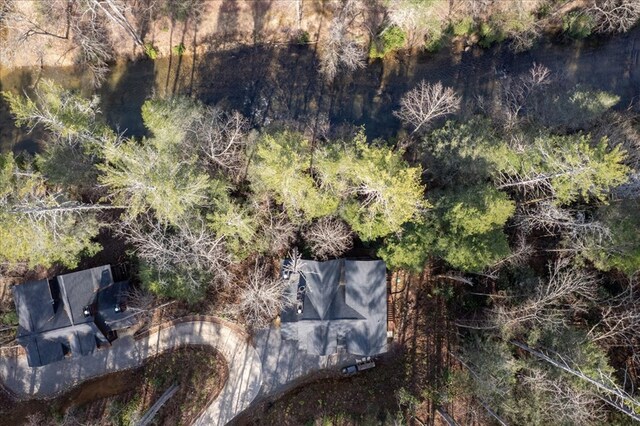510 Gallery Ct, Ellijay, GA 30540 - view from above of property