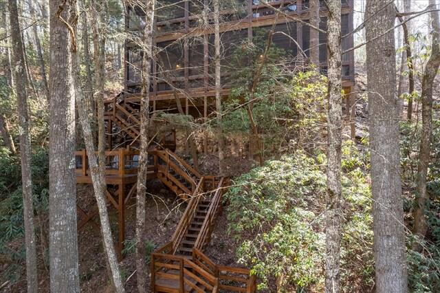 510 Gallery Ct, Ellijay, GA 30540 - view of local wilderness