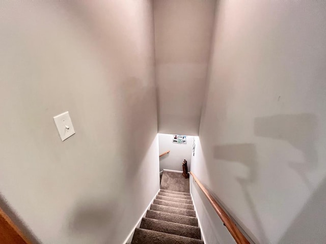 384 Shadow Pines Dr, Murphy, NC 28906 - stairs featuring carpet floors and baseboards