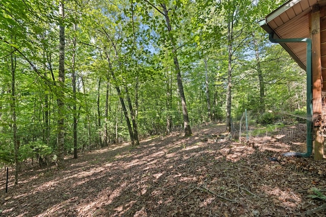 881 Sawyer Cove Rd, Hayesville, NC 28904 - view of nature