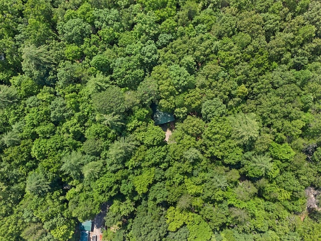 881 Sawyer Cove Rd, Hayesville, NC 28904 - view of property location