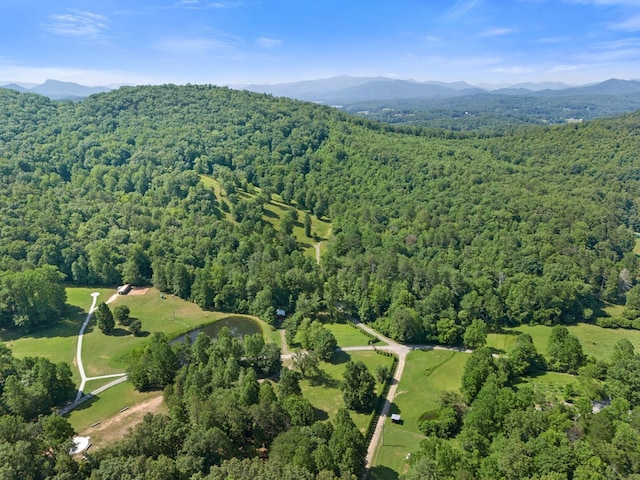 881 Sawyer Cove Rd, Hayesville, NC 28904 - aerial view of property's location with a heavily wooded area and a mountainous background