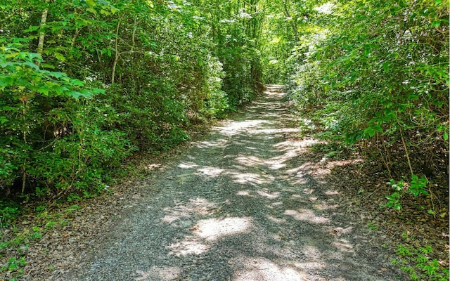 Listing photo 3 for 0 Sawyer Cove Rd, Hayesville NC 28904