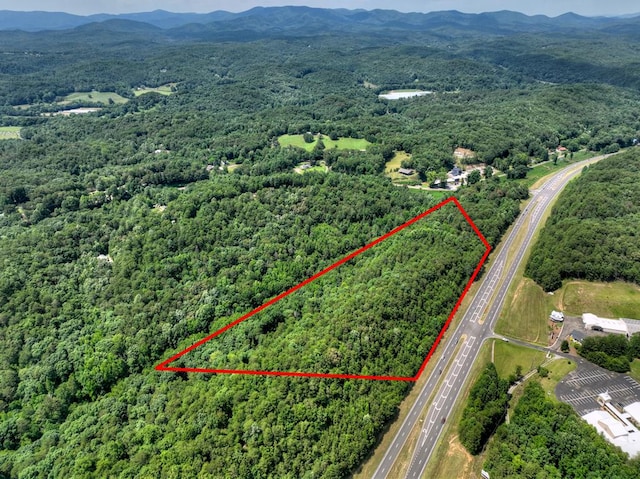 9.29AC Hwy 515, Ellijay GA, 30540 land for sale