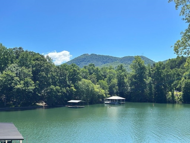 view of water feature featuring a mountain view