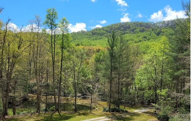 view of mountain feature