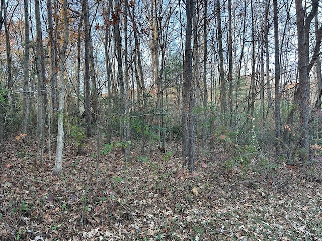 Listing photo 2 for LOT11 Tombstone Dr, Blairsville GA 30512