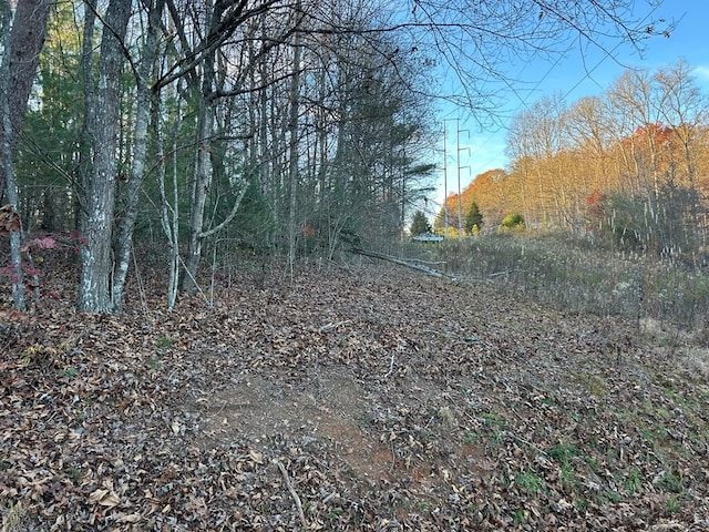 Listing photo 3 for LOT11 Tombstone Dr, Blairsville GA 30512