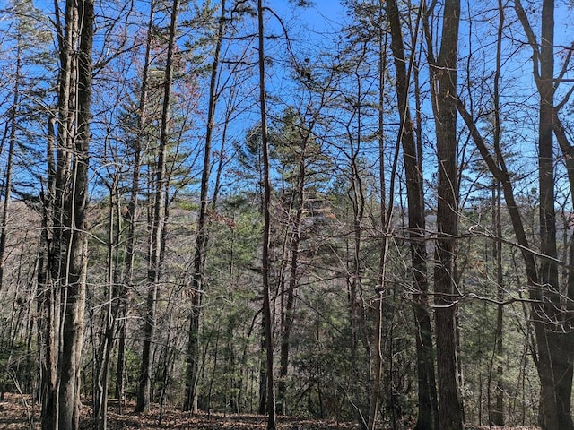 LOT26 Persimmon Rd, Murphy NC, 28906 land for sale