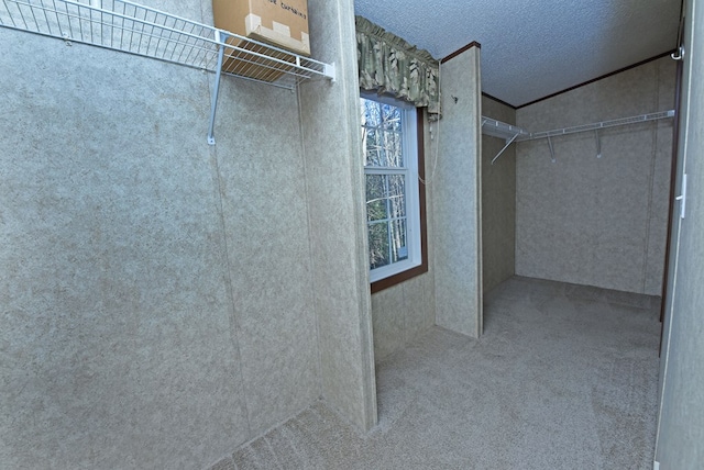 spacious closet with carpet floors