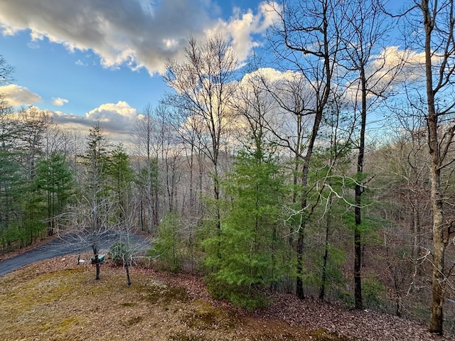 view of landscape featuring a view of trees