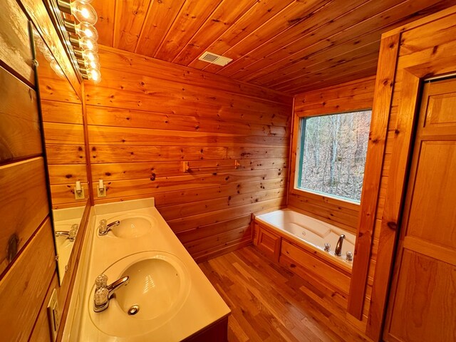 full bathroom featuring a sink, a jetted tub, and double vanity