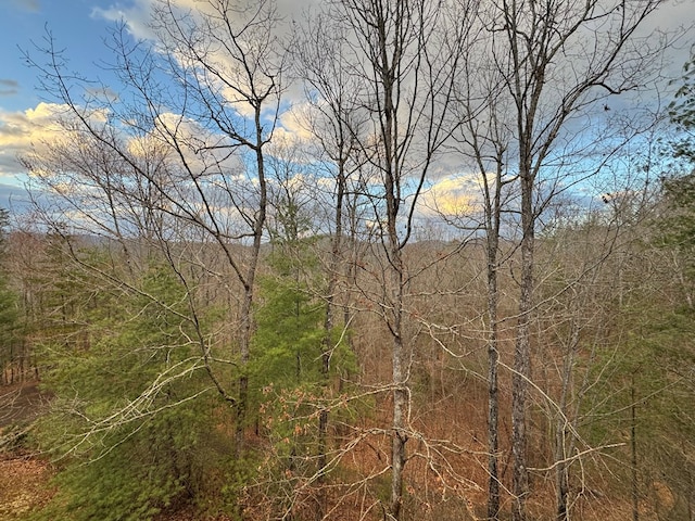 view of nature with a forest view