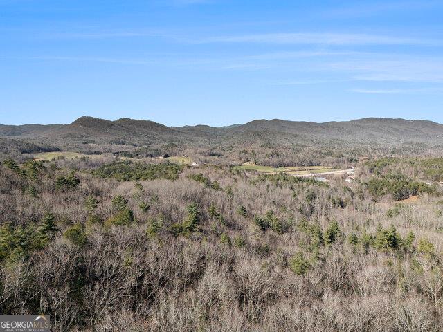 0 Seed Tick Rd, Clayton, GA 30525