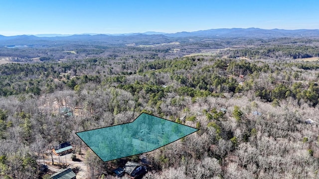 bird's eye view with a mountain view and a view of trees