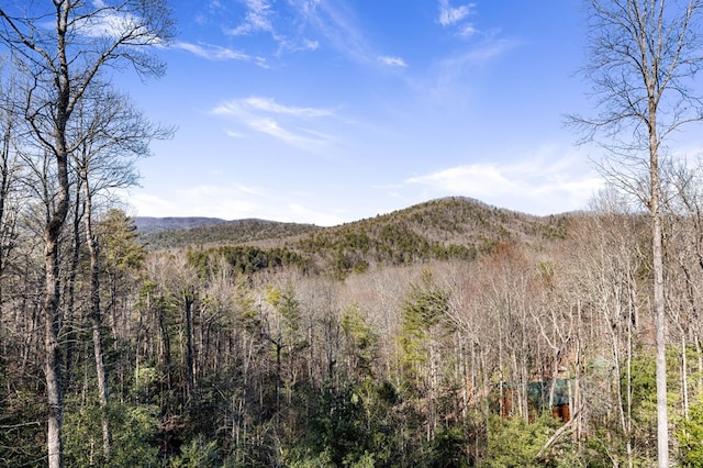 property view of mountains