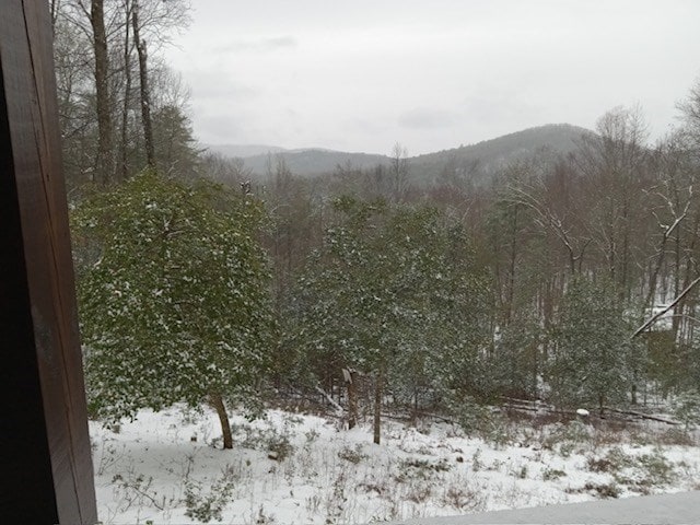 property view of mountains