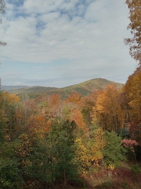 property view of mountains